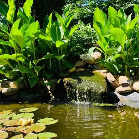 Mobil Avec Terrasse Dans Le D'anduze - Api-1-52-256 *